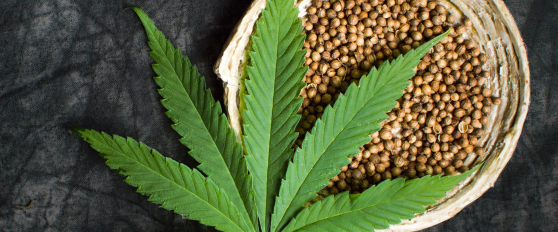 The Benefits of Hemp: What Makes it So Special?